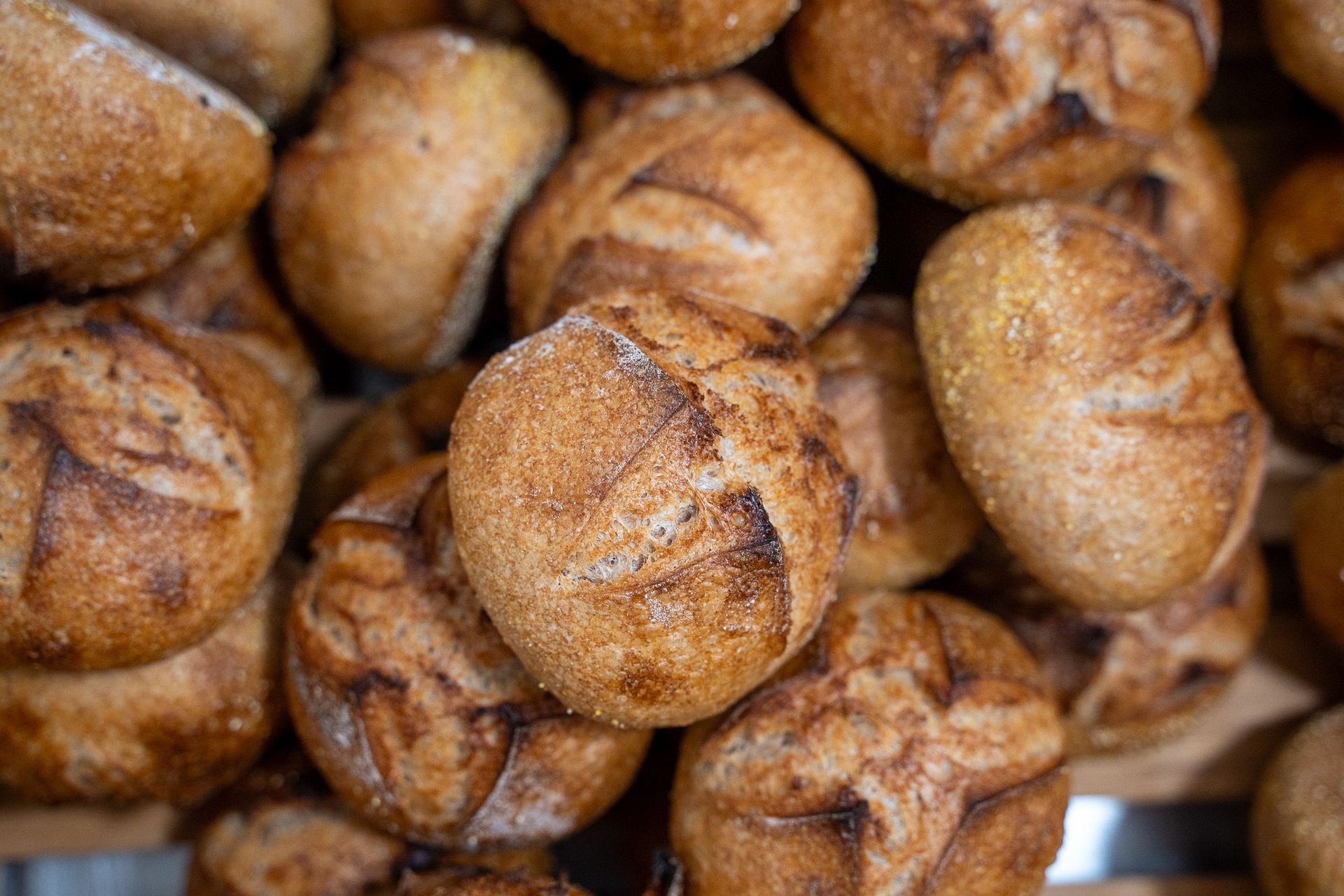 Close-up of freshly baked artisanal bread rolls in a Berlin bakery.